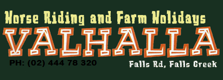 Valhalla Horse Riding - Accommodation Sunshine Coast 4