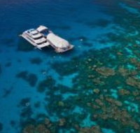 Great Adventures Reef and Green Island Cruises - Accommodation Sunshine Coast