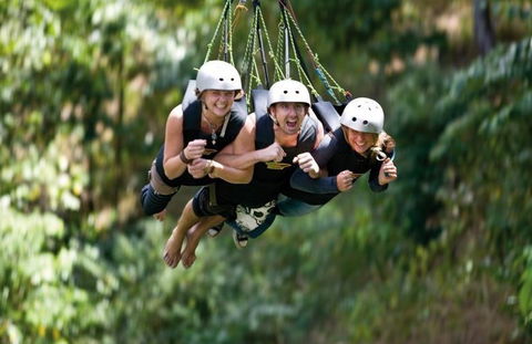 AJ Hackett Cairns - Accommodation Sunshine Coast 4