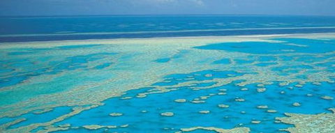 Aristocat Snorkel And Scuba Port Douglas - Accommodation Sunshine Coast 3