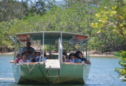 BTS Tours Pty Ltd - Accommodation Sunshine Coast 1