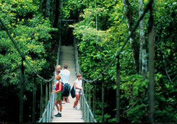BTS Tours Pty Ltd - Accommodation Sunshine Coast 4