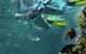 Calypso Reef Charters - thumb 0