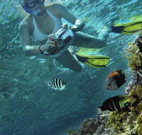 Calypso Reef Charters - Accommodation Sunshine Coast