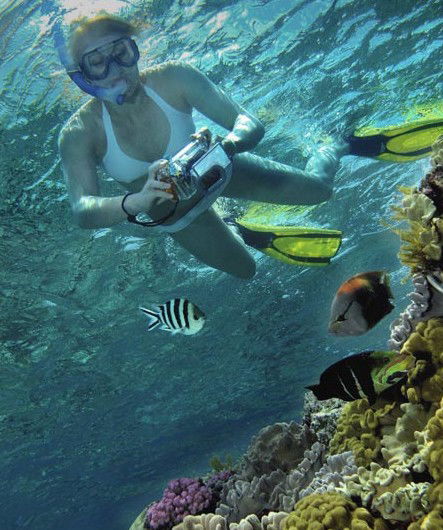 Calypso Reef Charters - Accommodation Sunshine Coast 0