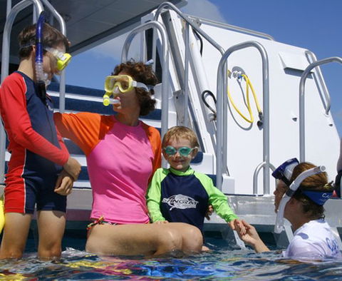 Calypso Reef Charters - Accommodation Sunshine Coast 3