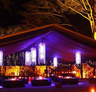 Flames Of The Forest - Accommodation Sunshine Coast