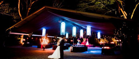 Flames Of The Forest - Accommodation Sunshine Coast 3