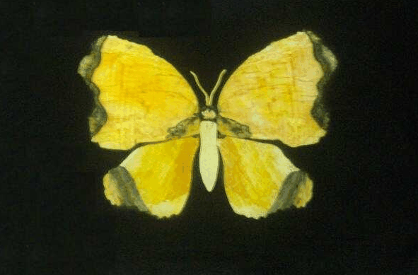 Ashworths - Accommodation Sunshine Coast 0