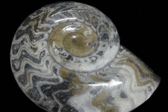 Ashworths - Accommodation Sunshine Coast 2