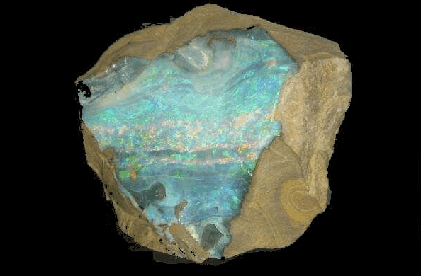 Ashworths - Accommodation Sunshine Coast 4