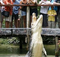 Hartley's Crocodile Adventures - Accommodation Sunshine Coast