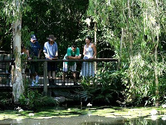 Hartley's Crocodile Adventures - Accommodation Sunshine Coast 2