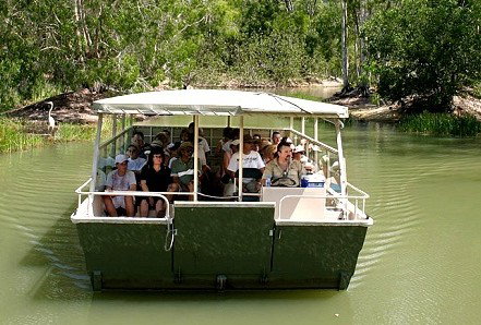 Hartley's Crocodile Adventures - Accommodation Sunshine Coast 5