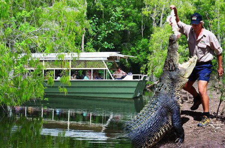 Hartley's Crocodile Adventures - Accommodation Sunshine Coast 6