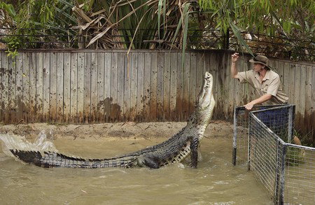 Hartley's Crocodile Adventures - Accommodation Sunshine Coast 8