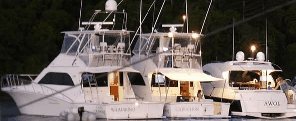 Abel Point Marina - Accommodation Sunshine Coast 3