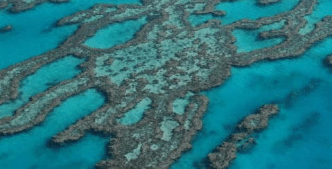 Abel Point Marina - Accommodation Sunshine Coast 4