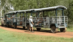 Whitsunday Crocodile Safari - Accommodation Sunshine Coast 2