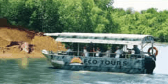 Whitsunday Crocodile Safari - Accommodation Sunshine Coast 3