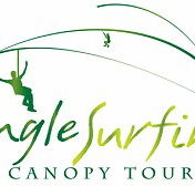 Jungle Surfing Canopy Tours and Jungle Adventures Nightwalks - Accommodation Sunshine Coast