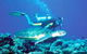 Poseidon Outer Reef Cruises - thumb 1