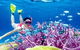 Poseidon Outer Reef Cruises - thumb 2