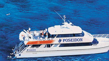 Poseidon Outer Reef Cruises - Accommodation Sunshine Coast 4