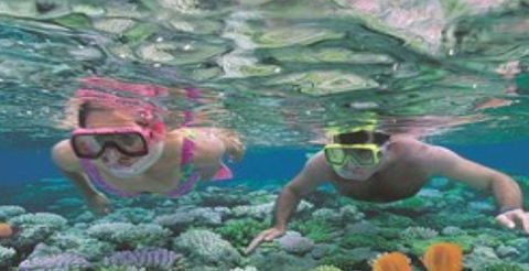 Quicksilver Cruises - Accommodation Sunshine Coast 2