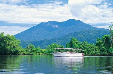 Reef And Rainforest Connections - Accommodation Sunshine Coast 2