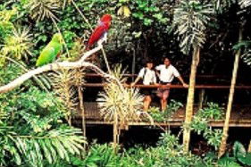 Reef And Rainforest Connections - Accommodation Sunshine Coast 4