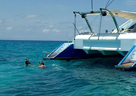 Synergy Reef Sailing - Accommodation Sunshine Coast 2