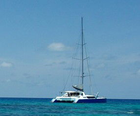 Synergy Reef Sailing - Accommodation Sunshine Coast 5