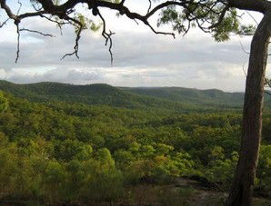 Cooktown Aboriginal Art Tours - Accommodation Sunshine Coast 1