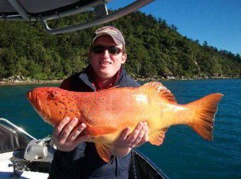 Gone Fishing By Coral Sea Fishing Charters Airlie Beach - Accommodation Sunshine Coast 0