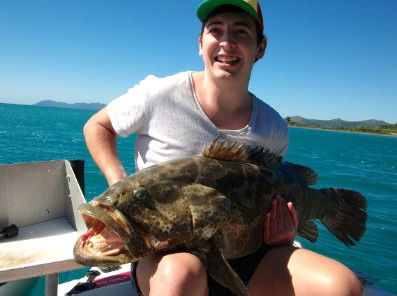 Gone Fishing By Coral Sea Fishing Charters Airlie Beach - Accommodation Sunshine Coast 4