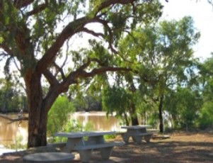 Allan Tannock Weir - Accommodation Sunshine Coast 0