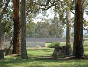 Broadwater QLD Accommodation Sunshine Coast