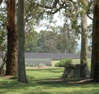 Aloomba Lavender - Accommodation Sunshine Coast