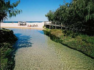 Fraser Island QLD Accommodation Sunshine Coast