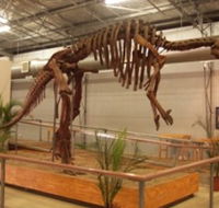 Australia's Dinosaur Trail - Accommodation Sunshine Coast