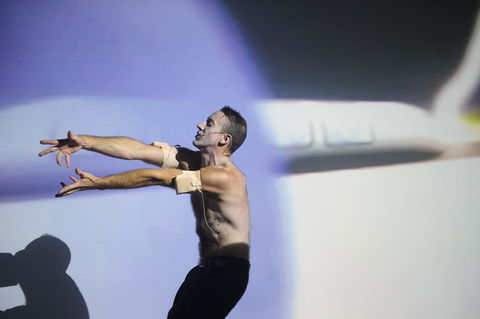 Arts House - Accommodation Sunshine Coast 0