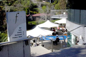 Fenix - Accommodation Sunshine Coast 0