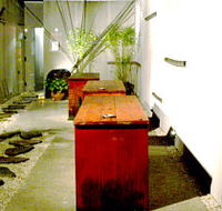 Koi - Accommodation Sunshine Coast