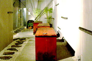 Koi - Accommodation Sunshine Coast 0