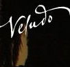 Veludo - Accommodation Sunshine Coast