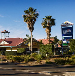 Koala Tavern - Accommodation Sunshine Coast 0