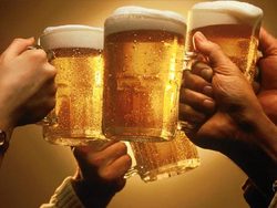 Rat N Parrot British Pub - Accommodation Sunshine Coast 0