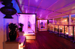 Circus Bar  Night Club - Accommodation Sunshine Coast