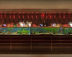 AB Hotel - Accommodation Sunshine Coast 2